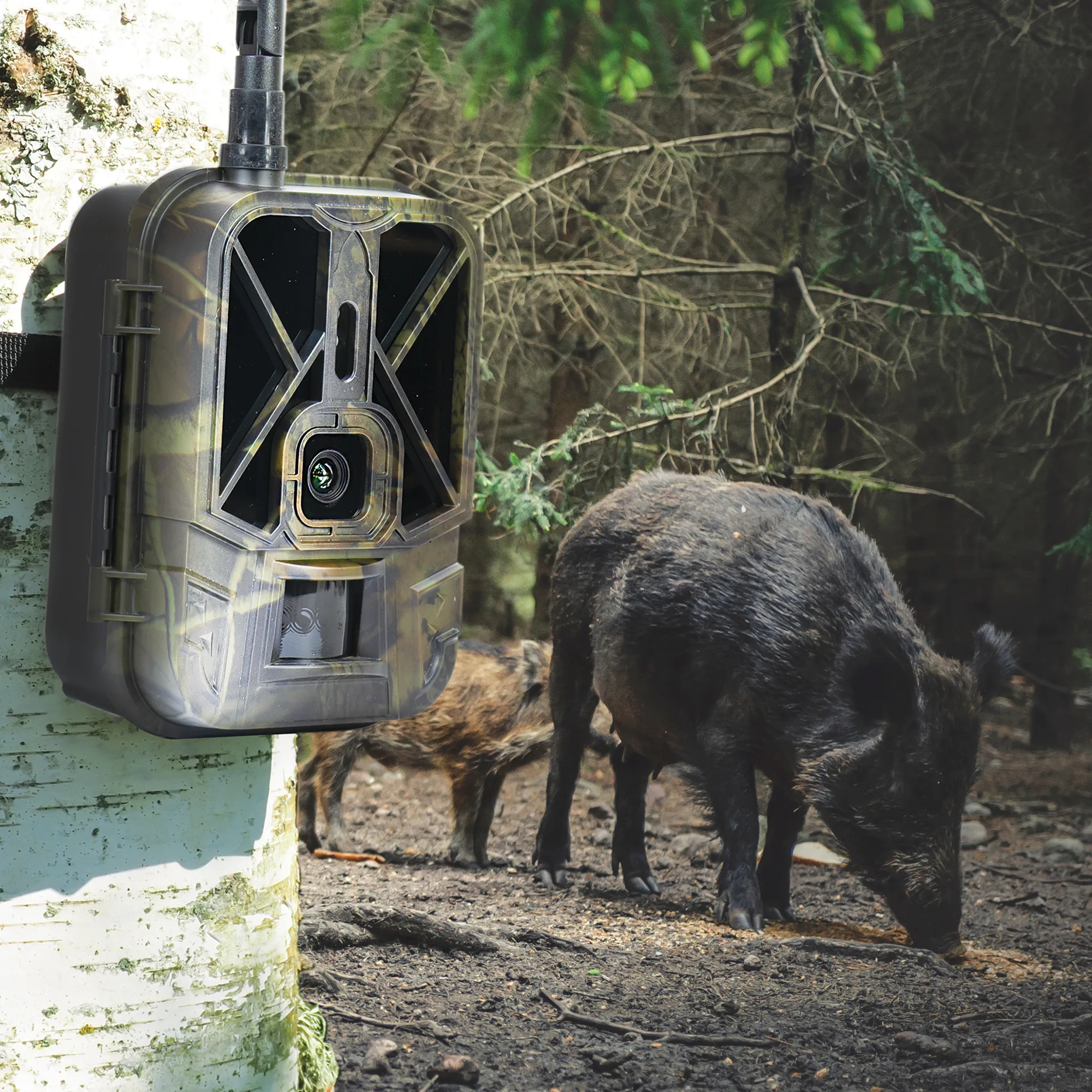 PNI 550C Wildcamera 4G Live