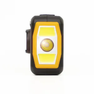 PNI DYN300 Noodradio